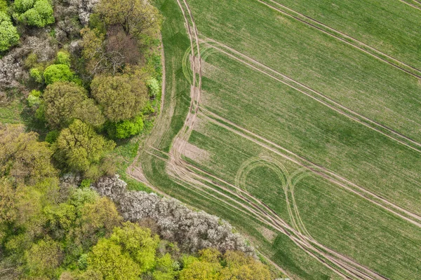 Tractor tracks on the harvest field — Stock Photo, Image