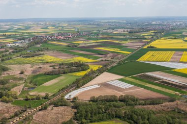 Yeşil hasat alanları Polonya