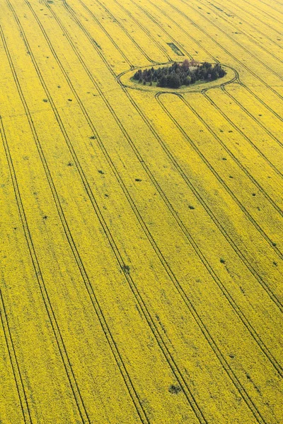 Поля сбора урожая в Польше — стоковое фото