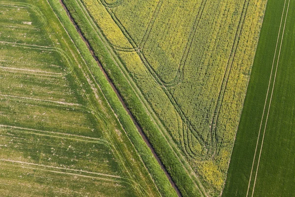 Campos de cosecha en Polonia — Foto de Stock