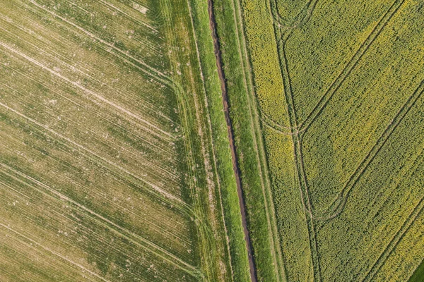 Skörden fält i Polen — Stockfoto