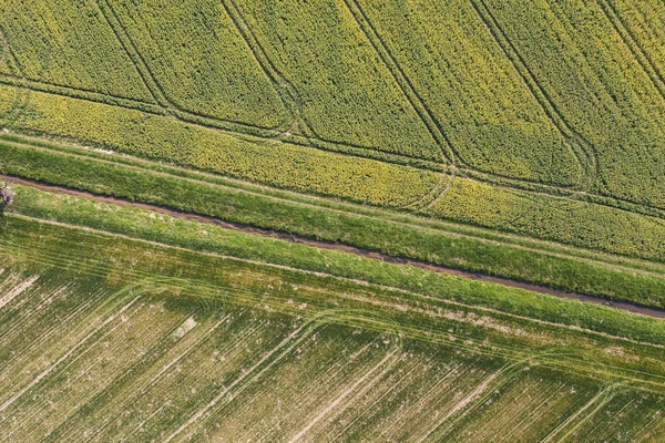 Betakarítási területeken Lengyelországban — Stock Fotó