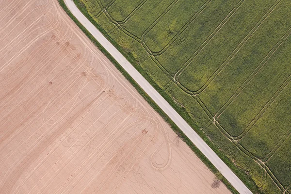 Урожай поля в Польщі — стокове фото