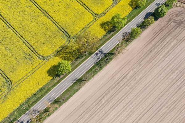 Strada tra i campi di raccolta — Foto Stock