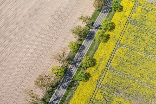 Weg tussen oogst velden — Stockfoto