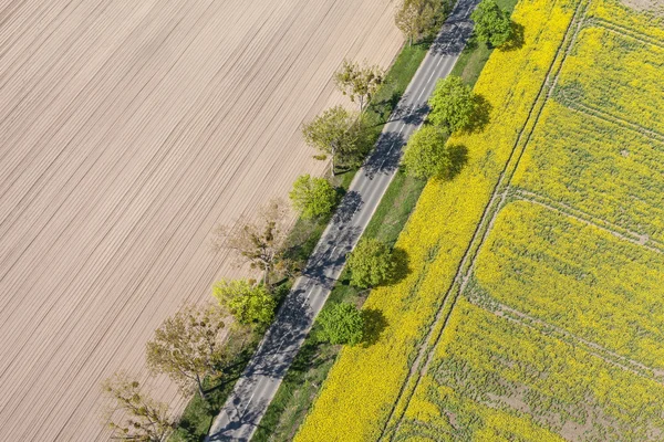 Дорога між полями збору врожаю — стокове фото