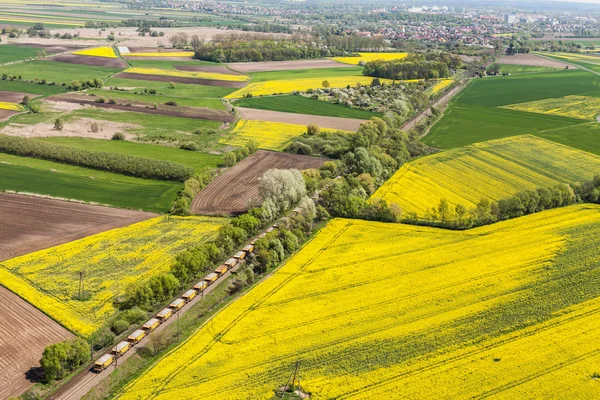 Campos de colheita verdes na Polónia — Fotografia de Stock