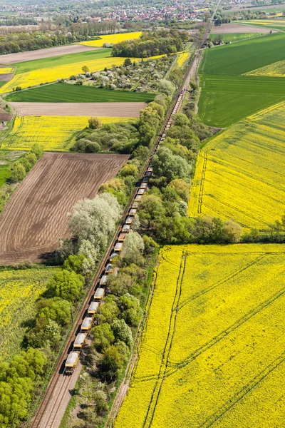 Zelené sklizně pole v Polsku — Stock fotografie