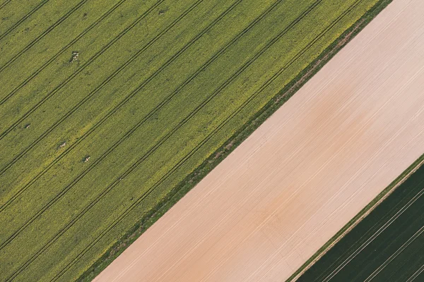 Campos de cosecha en Polonia — Foto de Stock