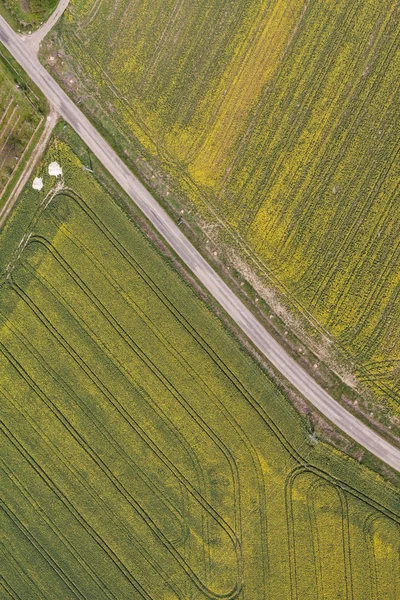 Campos de cosecha en Polonia — Foto de Stock