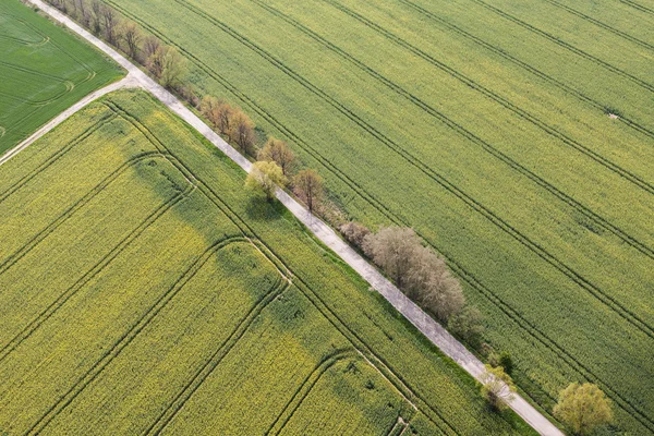 Campos de cosecha en Polonia — Foto de Stock