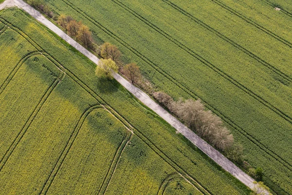 Campos de colheita na Polónia — Fotografia de Stock