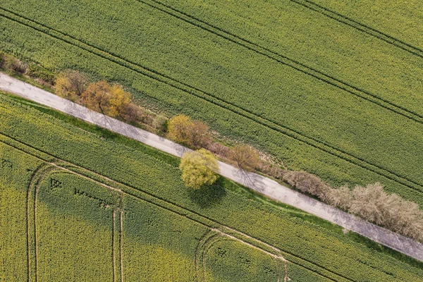 Champs de récolte en Pologne — Photo