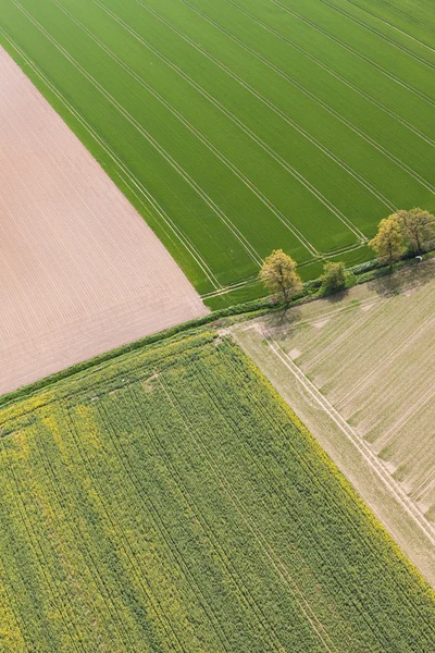 Campos de colheita na Polónia — Fotografia de Stock