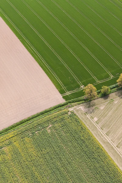 Campos de cosecha en Polonia — Foto de Stock
