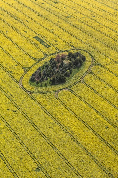 Campos de colheita na Polónia Imagens De Bancos De Imagens