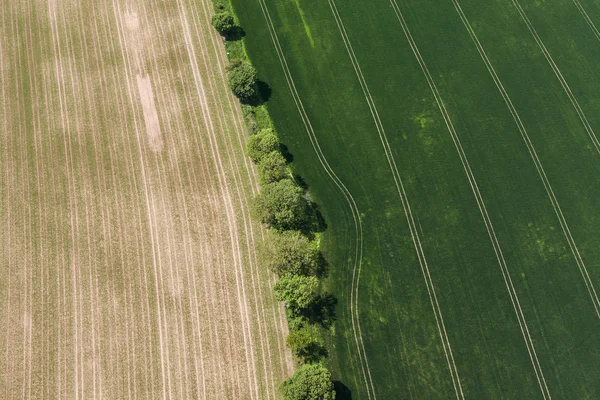 Vista aérea de los campos de cosecha — Foto de Stock