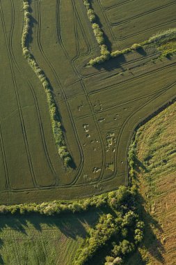 hasat alanları sabah manzara havadan görünümü