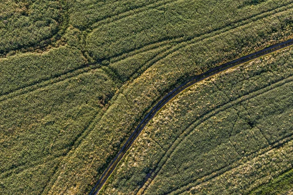 Vista aérea dos campos de colheita paisagem matinal — Fotografia de Stock