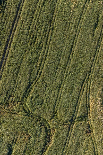 収穫のフィールドの朝の風景の空撮 — ストック写真