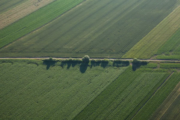 収穫のフィールドの朝の風景の空撮 — ストック写真