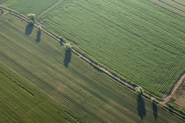 Вид с воздуха на поля для сбора урожая — стоковое фото