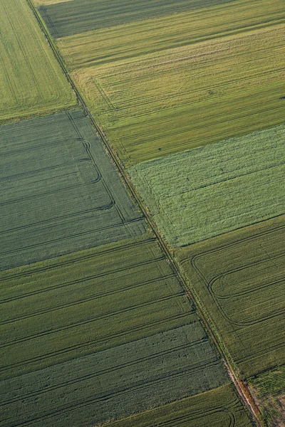 Vista aérea dos campos de colheita paisagem matinal — Fotografia de Stock