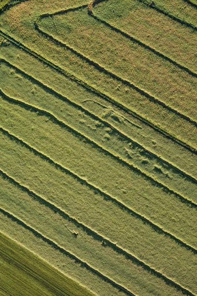 Flygfoto över skörden fält morgon landskapet — Stockfoto