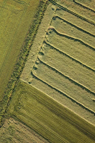 Aerial view of the harvest fields  morning landscape — Stock Photo, Image