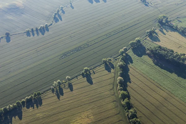 収穫のフィールドの朝の風景の空撮 — ストック写真