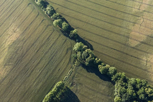 Flygfoto över skörden fält morgon landskapet — Stockfoto