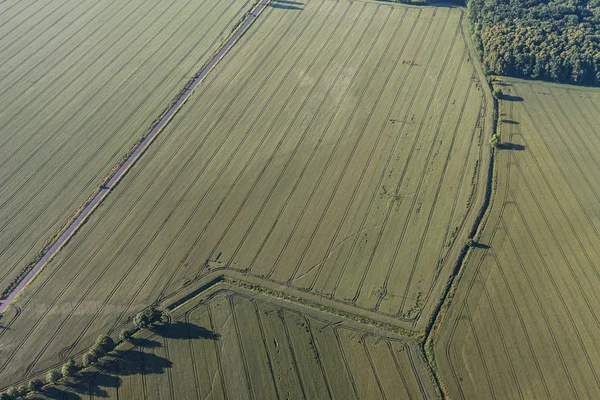 Aerial view of the harvest fields  morning landscape — Stock Photo, Image