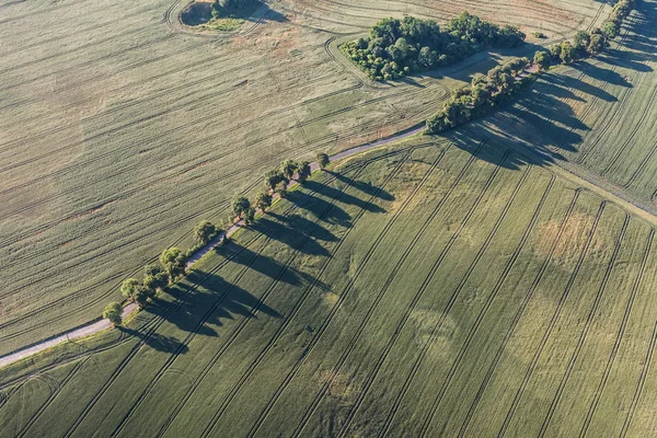 Letecký pohled na sklizeň polí ráno krajiny — Stock fotografie