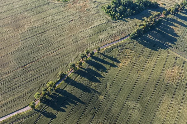Flygfoto över skörden fält morgon landskapet — Stockfoto