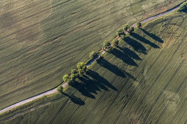 Vista aérea de los campos de cosecha paisaje matutino — Foto de Stock