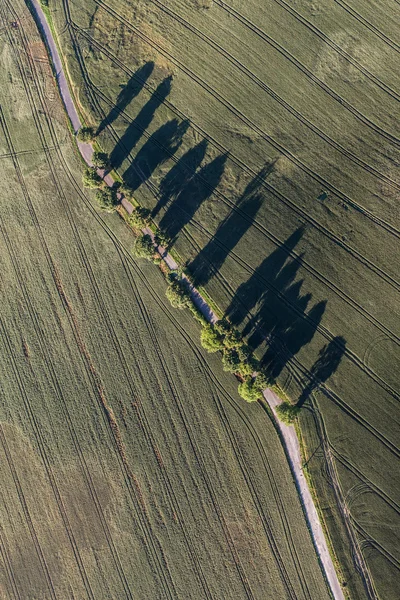 Flygfoto över skörden fält morgon landskapet — Stockfoto