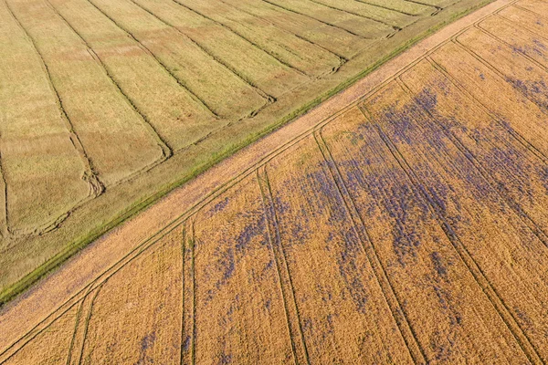 Повітряний вид на поля збору врожаю ранковий пейзаж — стокове фото