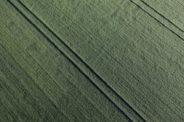 alanın havadan görüntüsü 