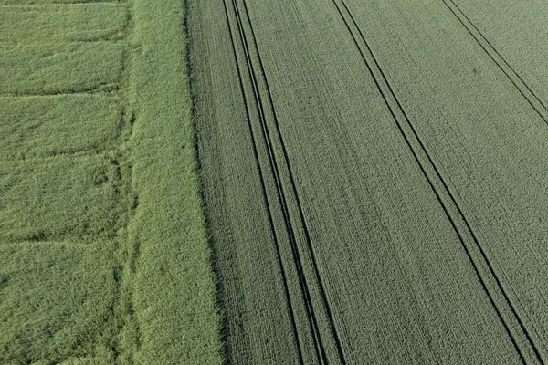 Bovenaanzicht van het veld — Stockfoto