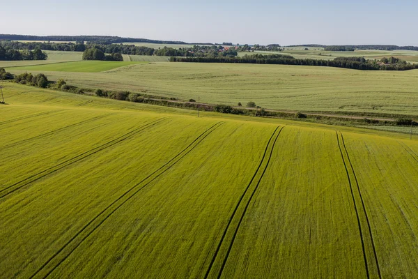 Vista aérea de los campos de cosecha — Foto de Stock
