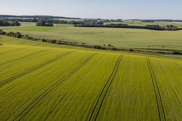 Widok z lotu ptaka na pola zbiorów — Zdjęcie stockowe