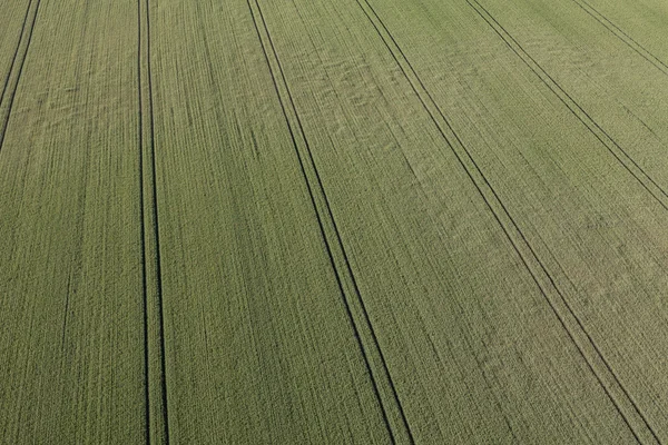 Vista aerea dei campi di raccolta — Foto Stock