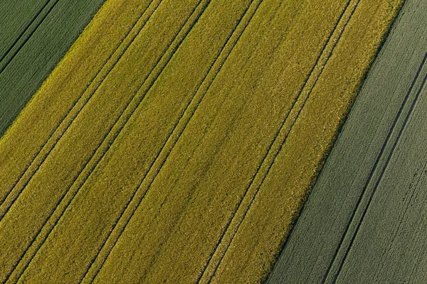 Vista aérea dos campos de colheita — Fotografia de Stock