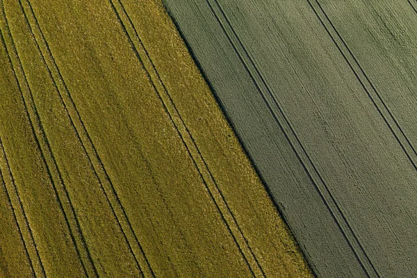 Vista aérea de los campos de cosecha — Foto de Stock