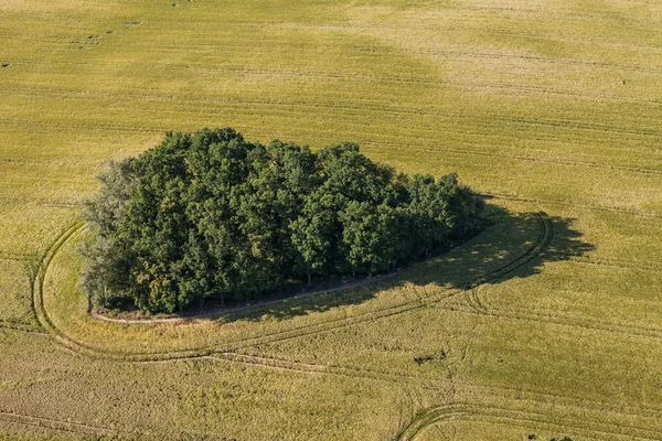 Vista aérea de los campos de cosecha — Foto de Stock