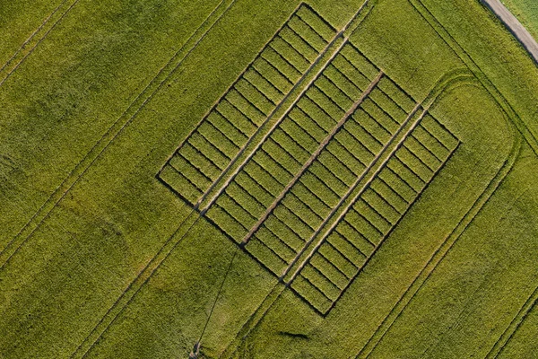 Vista aérea de los campos de cosecha — Foto de Stock