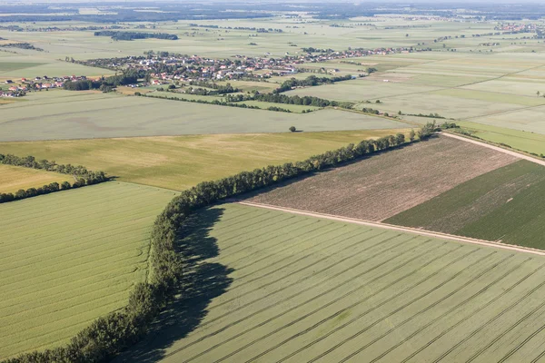 Vista aerea dei terreni agricoli — Foto Stock