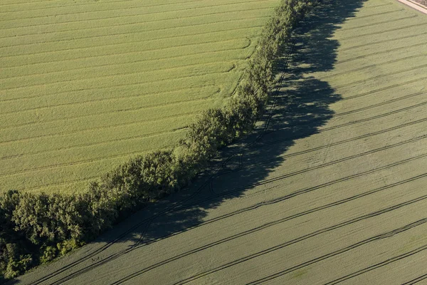 Vista aérea de los campos de cosecha —  Fotos de Stock