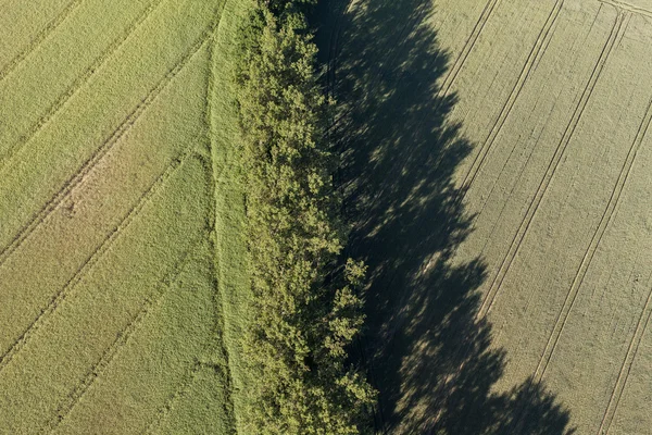 Vista aerea dei campi di raccolta — Foto Stock