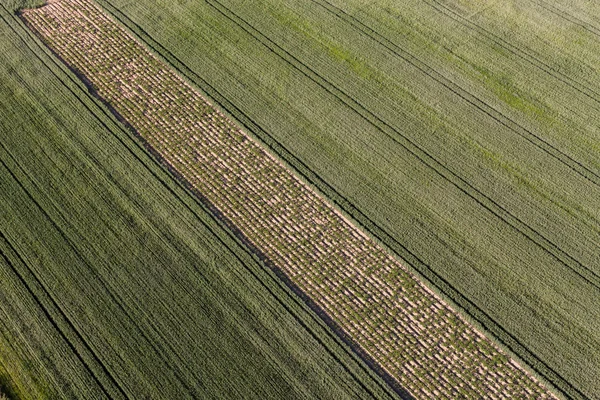 収穫場の空中からの眺め — ストック写真